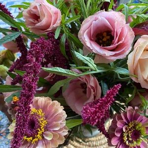 Meet your Posher, Anna rose